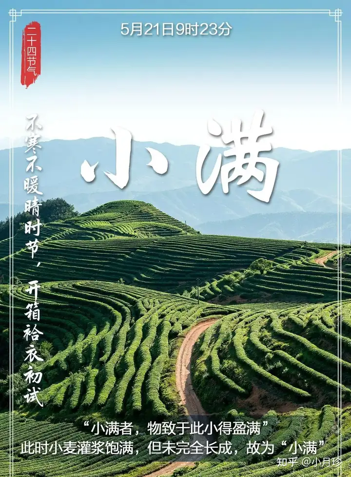 今天小满，小得盈满，美好初夏到了