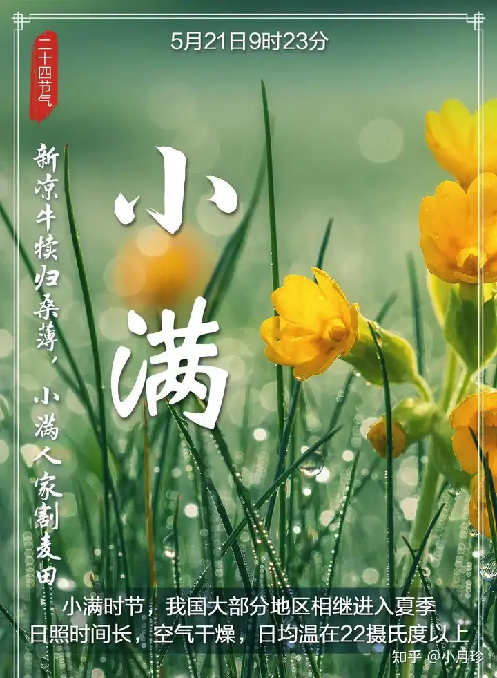 今天小满，小得盈满，美好初夏到了
