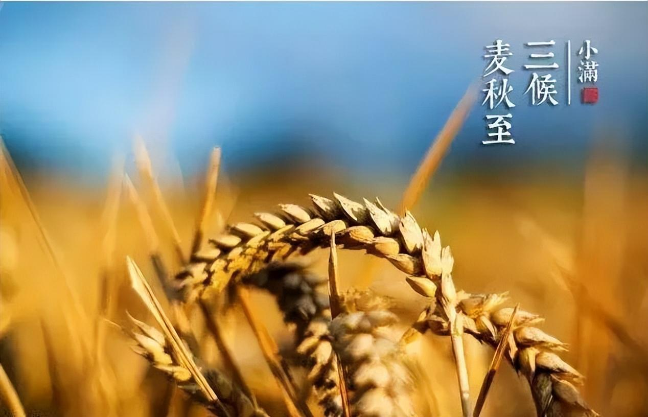 初夏迎小满 万物皆欢欣——记盐关街幼儿园大班小满系列活动