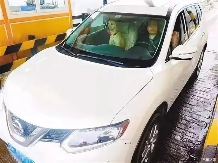 男子带“充气女友”上路，被交警罚300！车主：她碍着谁了？