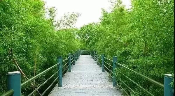 再上19天班有假放！还有两个消息很重要，浙江人必看！