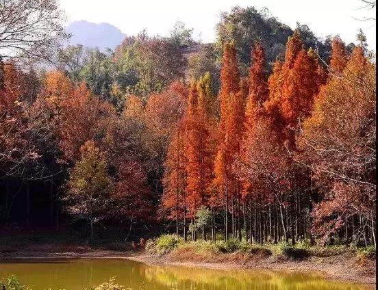 再上19天班有假放！还有两个消息很重要，浙江人必看！