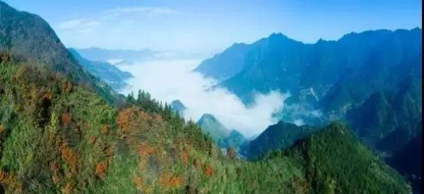 再上19天班有假放！还有两个消息很重要，浙江人必看！