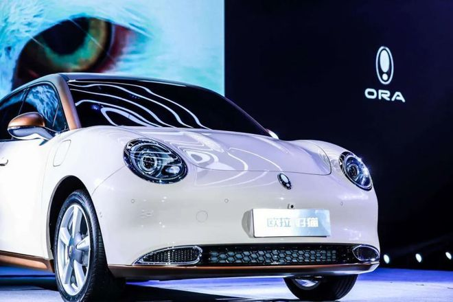 欧拉的“顶流”之路