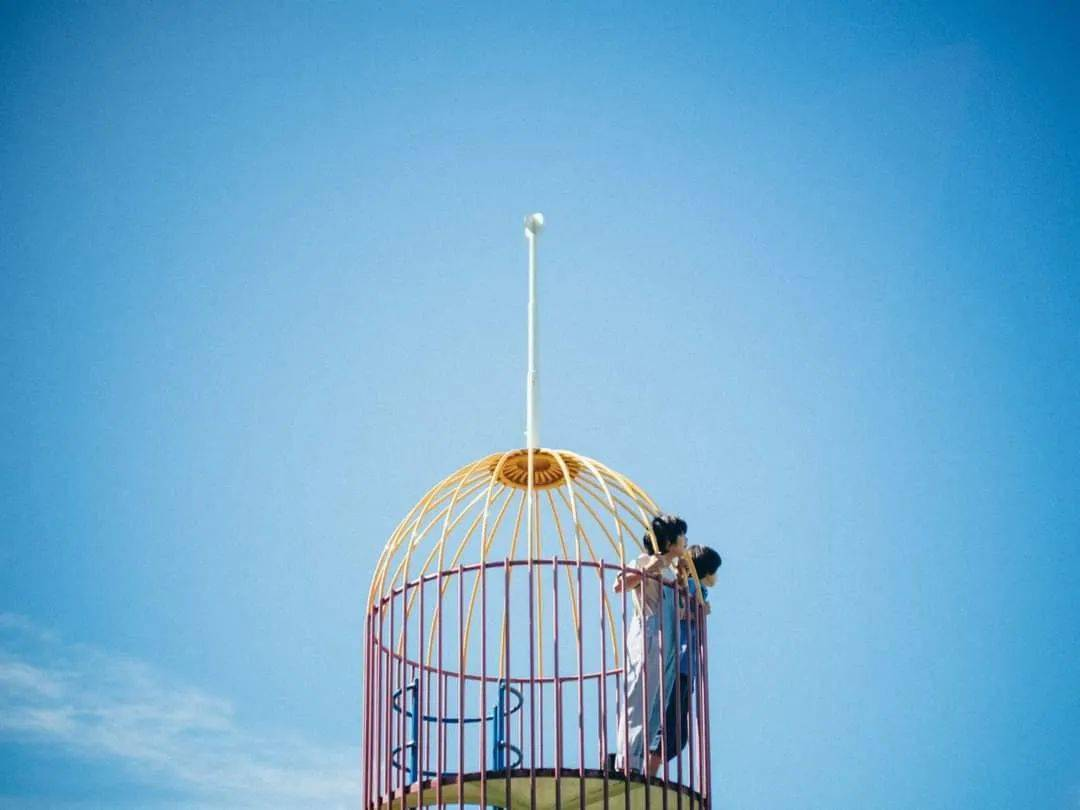 这次，是枝裕和被过誉了吗？