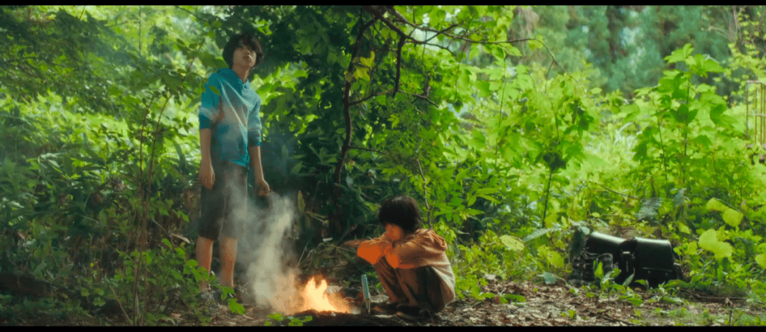 这次，是枝裕和被过誉了吗？