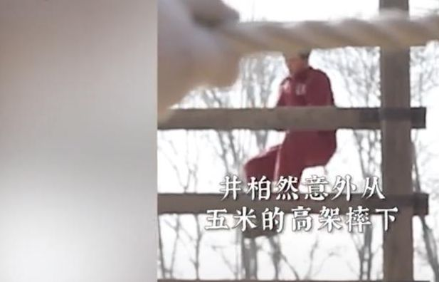 井柏然拍戏竟然从5米高摔落，手掌多处受伤却不忘安慰工作人员