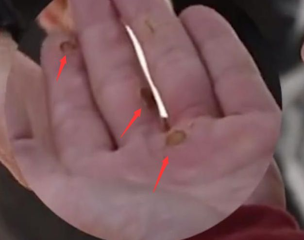 井柏然拍戏竟然从5米高摔落，手掌多处受伤却不忘安慰工作人员