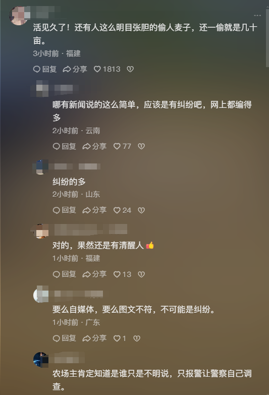 几十亩小麦被人开收割机偷割后续：官方通报，结果公布，评论炸锅