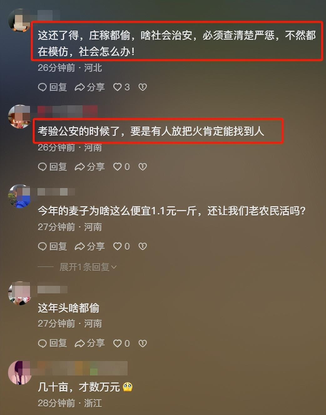 几十亩小麦被人开收割机偷割后续：官方通报，结果公布，评论炸锅