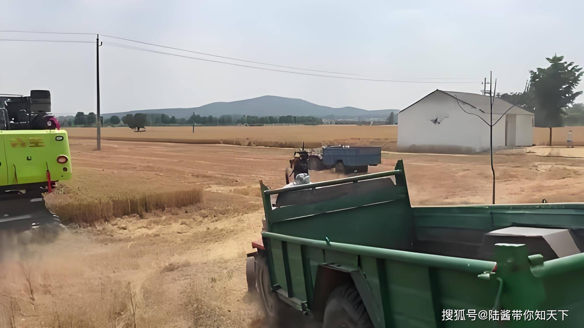 “几十亩小麦被人开收割机偷了”：农业安全的警钟