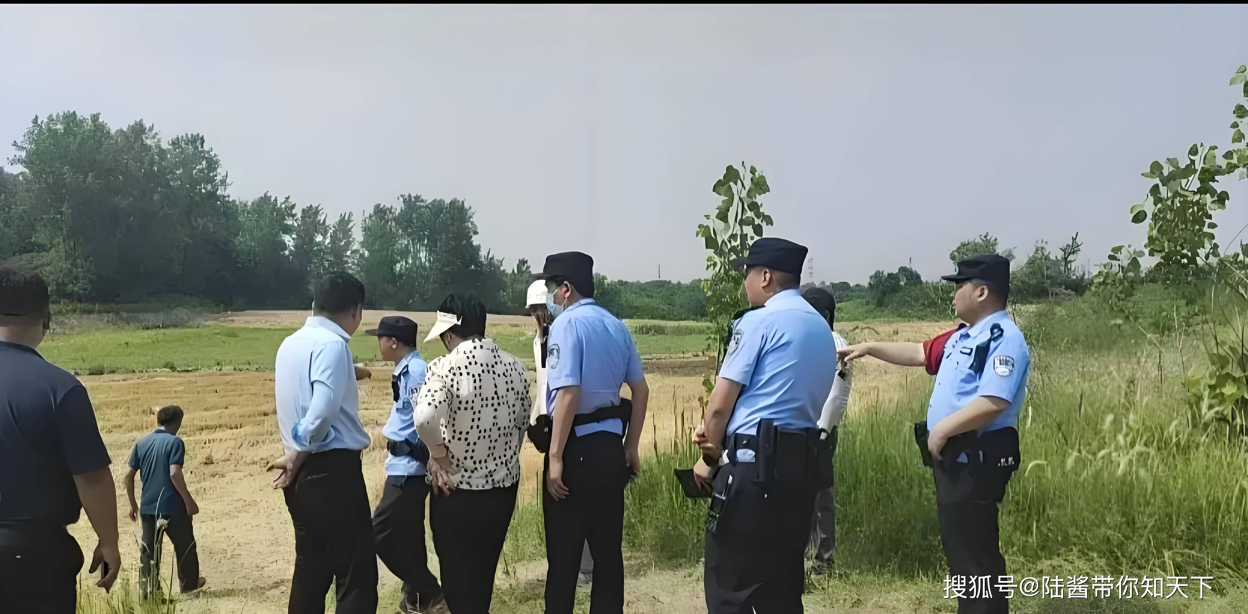 “几十亩小麦被人开收割机偷了”：农业安全的警钟