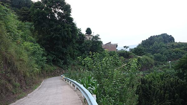 贵州拳击女童小汤圆：跟着父亲学拳击，梦想成为世界冠军