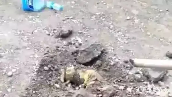 “就发了一条朋友圈，俩女儿就永远的离开了”8岁双胞胎姐妹溺亡