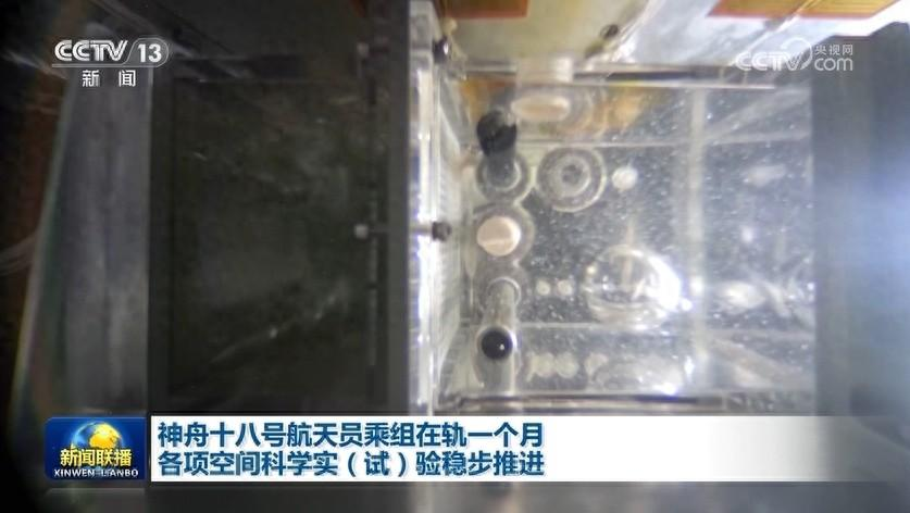 神舟十八号航天员乘组在轨一个月 各项空间科学实（试）验稳步推进
