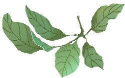 注意! 这10批次食品抽检不合格！