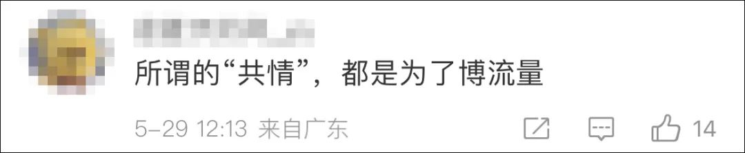 看丹观察丨“共情不了”的“王妈”，在塌一种很新的房？
