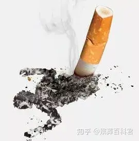 5.31世界无烟日 |“香”烟无情，珍爱生命！