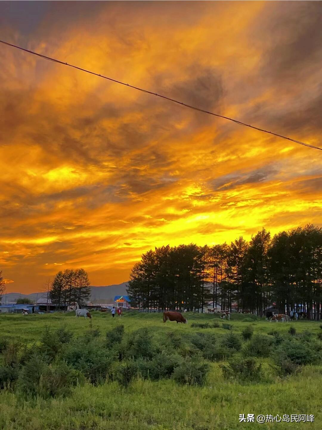 探索大草原，从这份微攻略开始