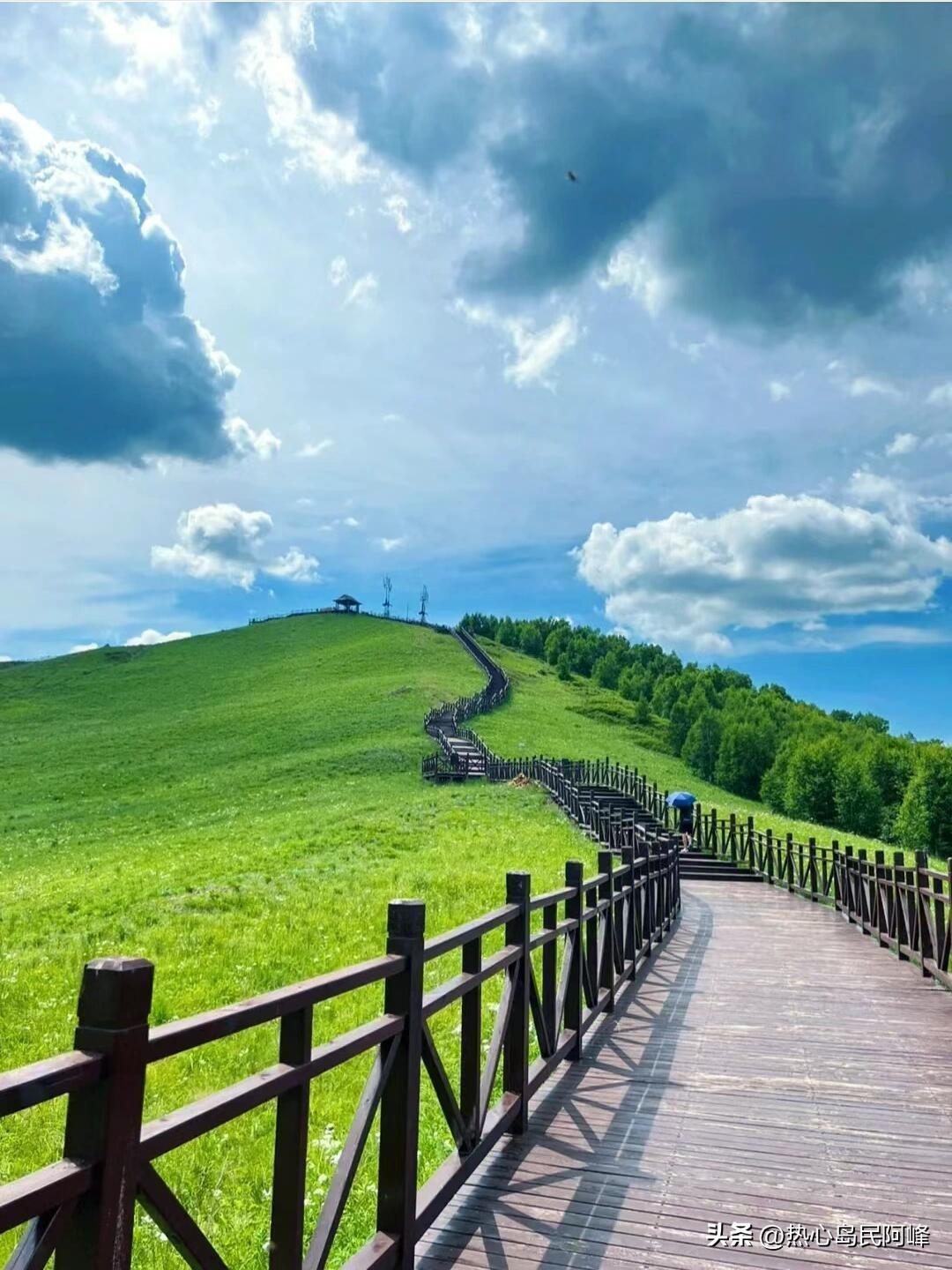 探索大草原，从这份微攻略开始