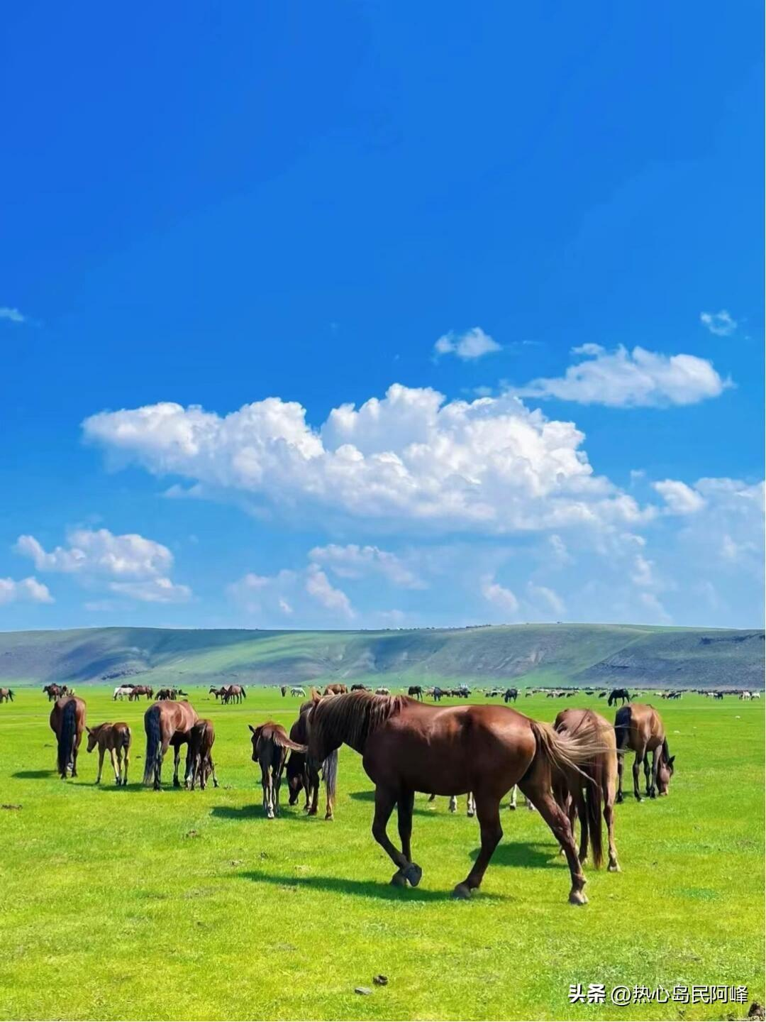 探索大草原，从这份微攻略开始