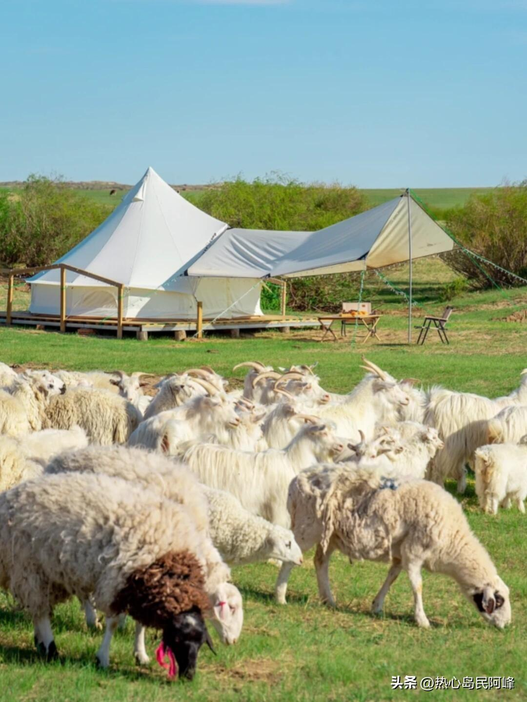 探索大草原，从这份微攻略开始