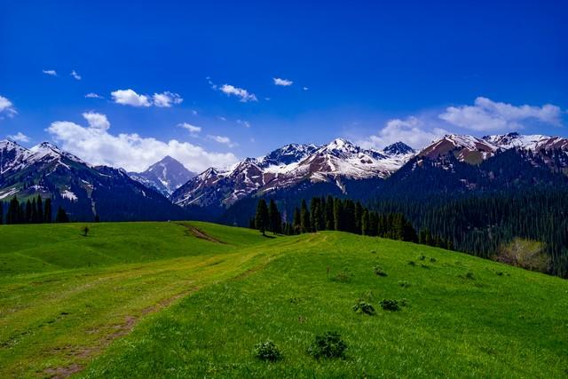 我国最美的六大草原 此生无论如何都要去一趟 网友：去了就值得