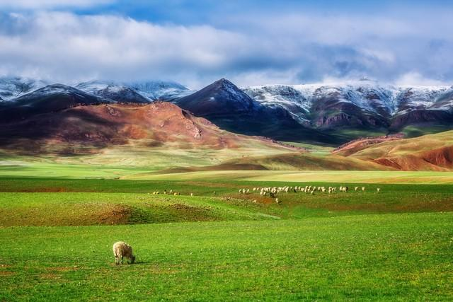 我国最美的六大草原 此生无论如何都要去一趟 网友：去了就值得