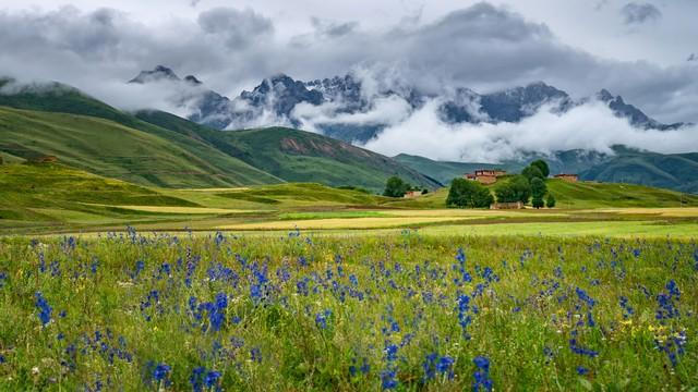 我国最美的六大草原 此生无论如何都要去一趟 网友：去了就值得