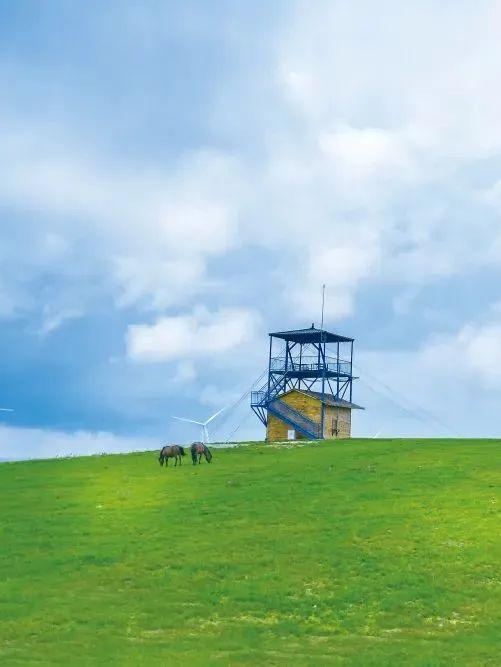 待疫情散去，游草原、看山水、逛溶洞，还秋天一场旅行！