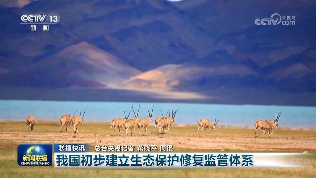 稳步回升、预期上调 中国经济高质量发展扎实推进-我国经济增长阶段转向高质量发展阶段