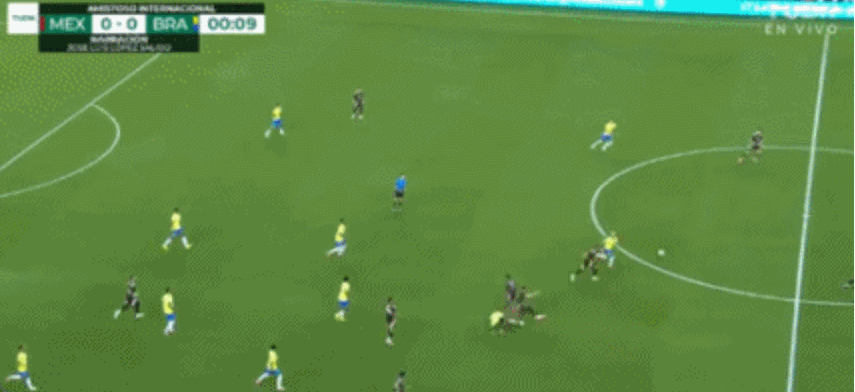 92分钟被绝平，96分钟反绝杀！巴西3-2大爆发：17岁天才脱衣庆祝-巴西木的养殖方法和注意事项