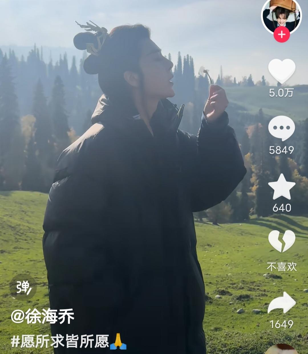 笑疯在徐海乔评论区了，刘亦菲新剧4个男主都没他的位置-徐海乔不火了