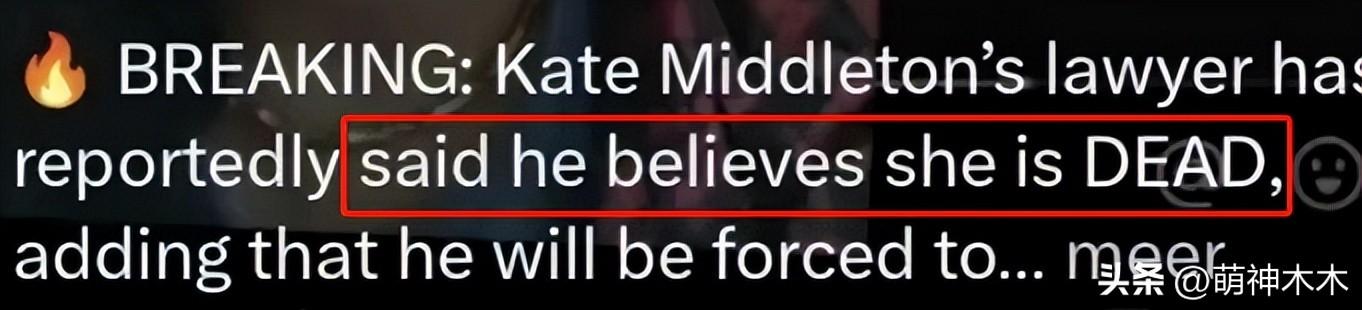 凯特王妃律师发声！无法联络到本尊感觉人没了，年前入院图曝光-凯特王妃最近活动