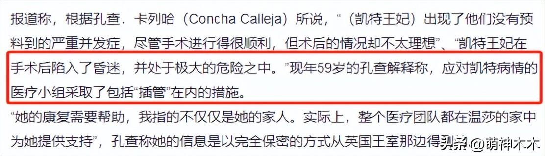 凯特王妃律师发声！无法联络到本尊感觉人没了，年前入院图曝光-凯特王妃最近活动