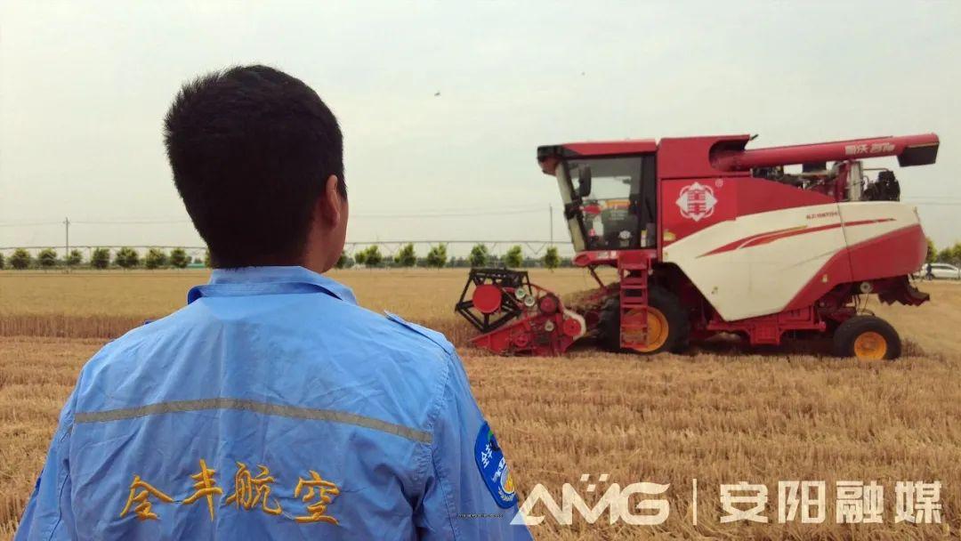 千亩麦田无人收割？安阳实现河南首家千亩无人农场小麦收割-河南 小麦 收割