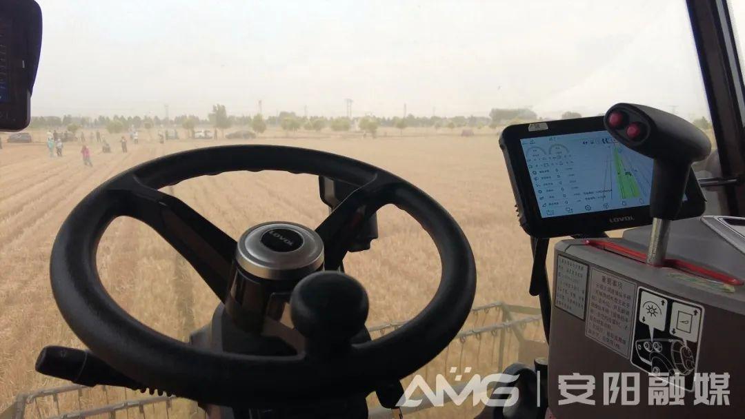 千亩麦田无人收割？安阳实现河南首家千亩无人农场小麦收割-河南 小麦 收割