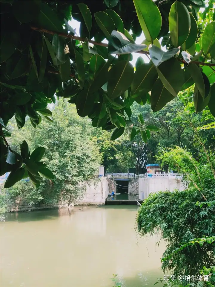 福州内河与龙舟系列之白马河，龙立潮头-福州白马河的传说和来历简介