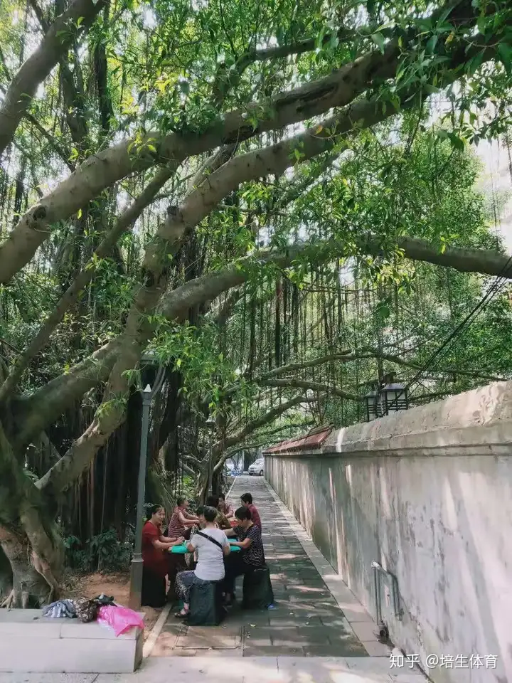 福州内河与龙舟系列之白马河，龙立潮头-福州白马河的传说和来历简介