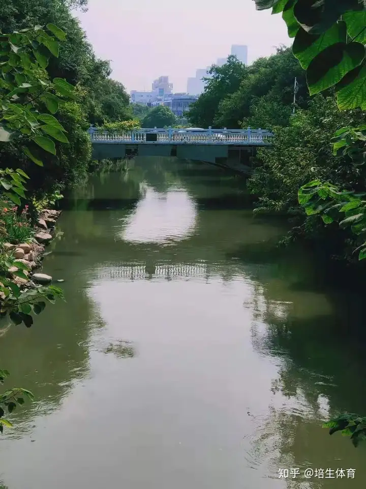福州内河与龙舟系列之白马河，龙立潮头-福州白马河的传说和来历简介