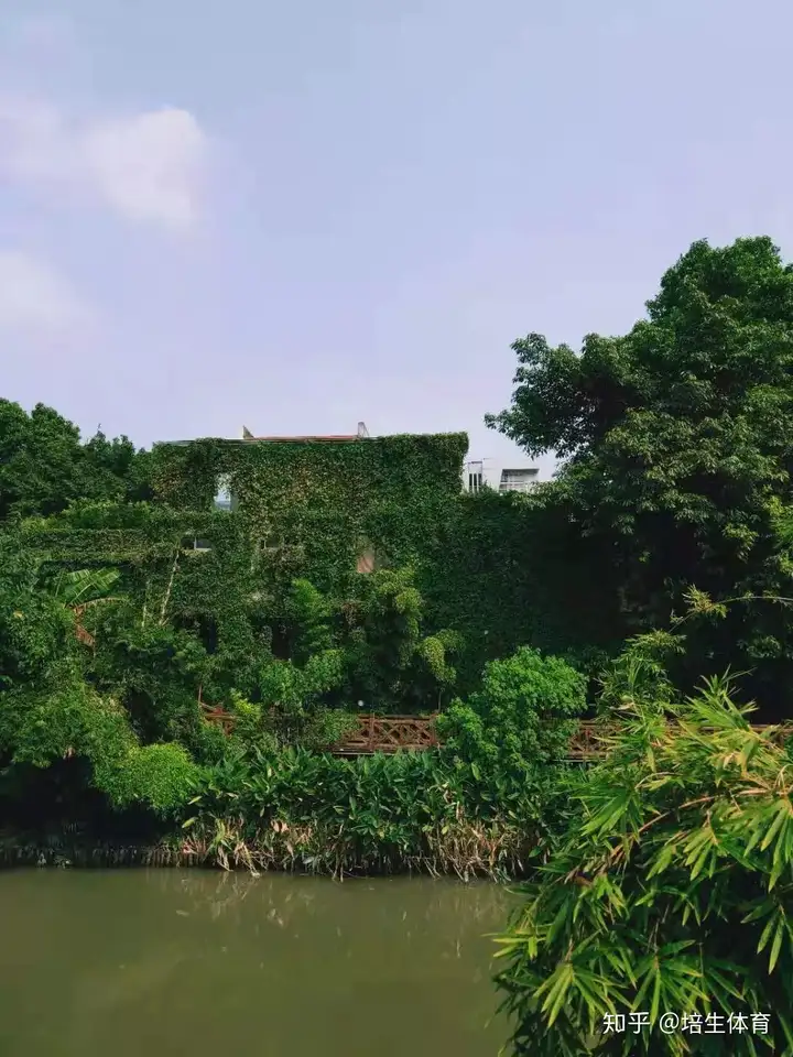 福州内河与龙舟系列之白马河，龙立潮头-福州白马河的传说和来历简介