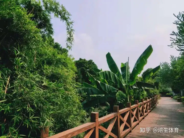 福州内河与龙舟系列之白马河，龙立潮头-福州白马河的传说和来历简介