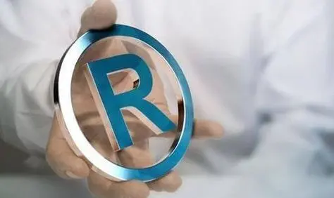 “金龟子”被抢注为商标？“金龟子”刘纯燕这样“回击”！-金龟子刘纯燕现状