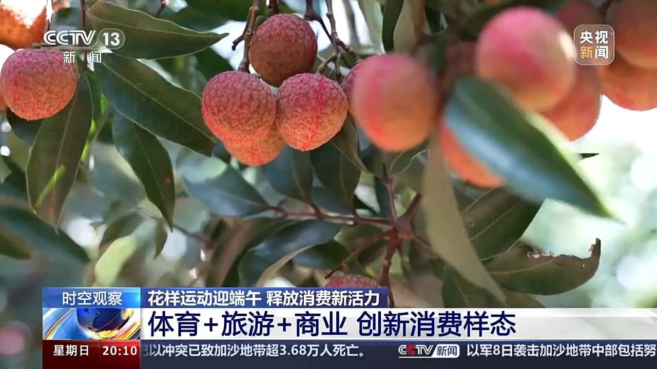 从体育习俗到消费新样态 原来你还是这样“运动”的端午-体育运动的起源与发展