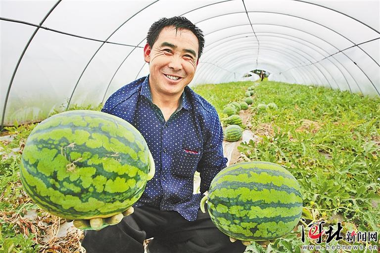 用真情真劲真心帮扶-倾情帮扶解民忧真心关爱暖民心