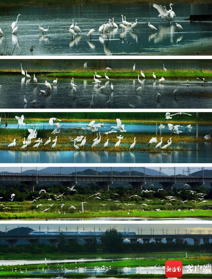 2023三亚国际玫瑰文化节：小康生活成就展举行 用镜头记录三亚这十余年-三亚国际玫瑰园旅游攻略