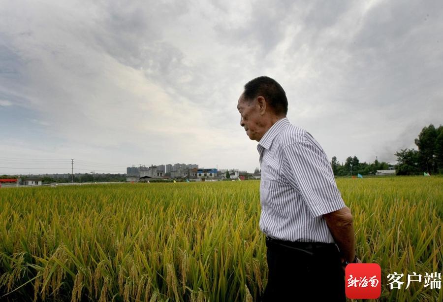 2023三亚国际玫瑰文化节：小康生活成就展举行 用镜头记录三亚这十余年-三亚国际玫瑰园旅游攻略