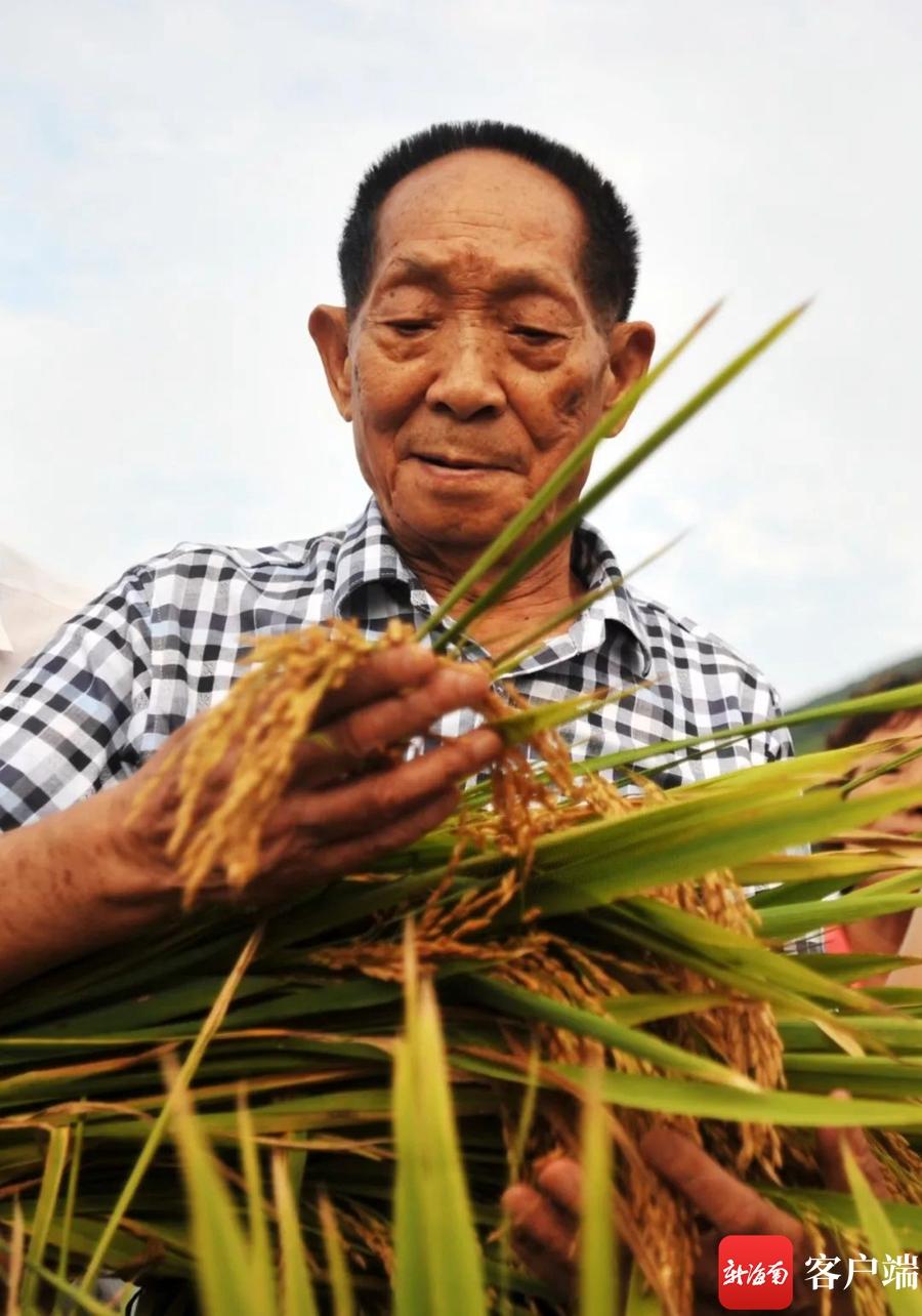 2023三亚国际玫瑰文化节：小康生活成就展举行 用镜头记录三亚这十余年-三亚国际玫瑰园旅游攻略