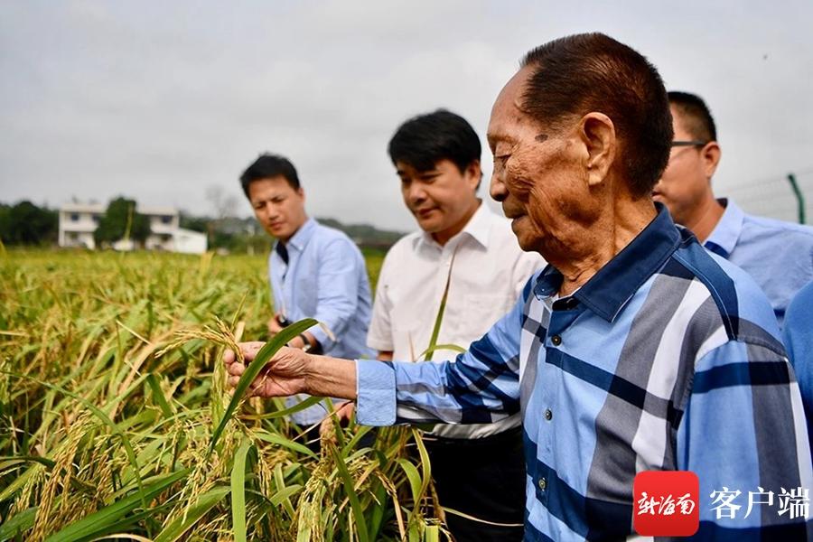 2023三亚国际玫瑰文化节：小康生活成就展举行 用镜头记录三亚这十余年-三亚国际玫瑰园旅游攻略