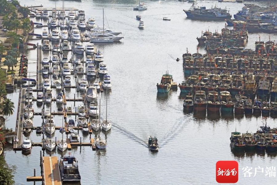 2023三亚国际玫瑰文化节：小康生活成就展举行 用镜头记录三亚这十余年-三亚国际玫瑰园旅游攻略